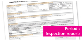 Inspect & Test Services - Periodic Inspection Reports